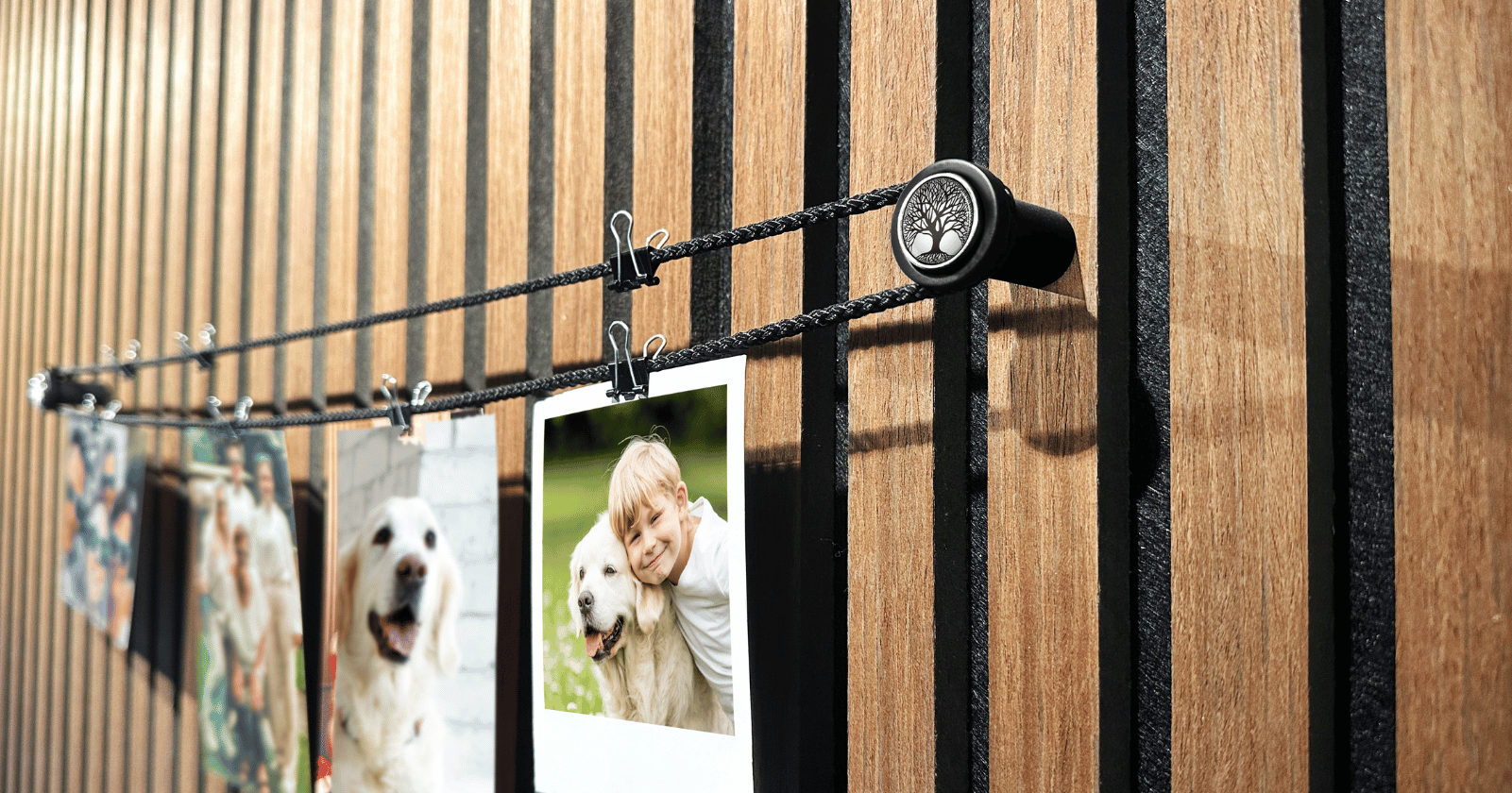 qles_click_Stick_Halter